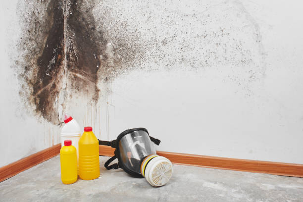 Best Crawl Space Mold Removal  in Woodlawn, OH