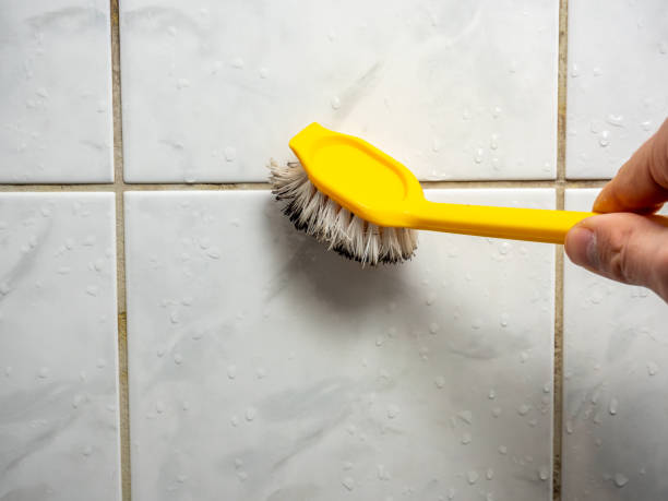 Best Mold Removal Near Me  in Woodlawn, OH