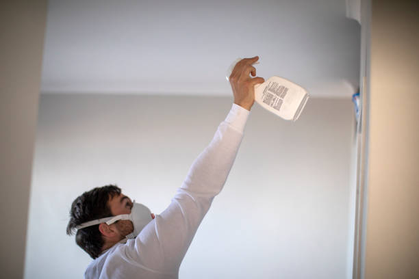 Certified Mold Removal in Woodlawn, OH