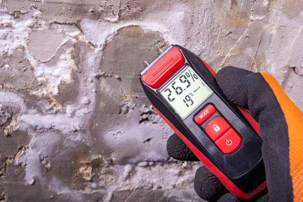 Best Local Mold Removal Service  in Woodlawn, OH