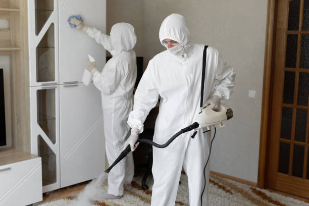 Best Commercial Mold Removal  in Woodlawn, OH
