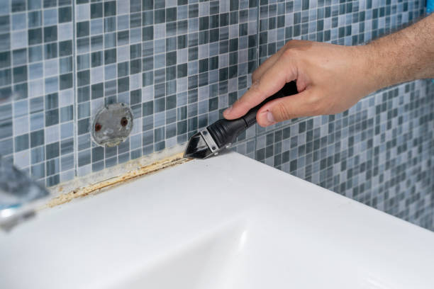 Trusted Woodlawn, OH Mold Removal Experts