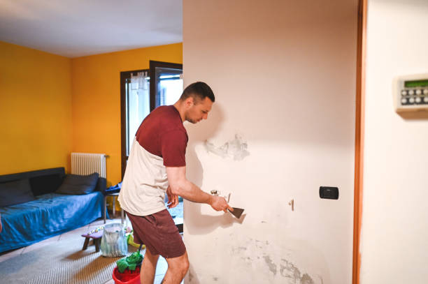 Best Attic Mold Removal  in Woodlawn, OH
